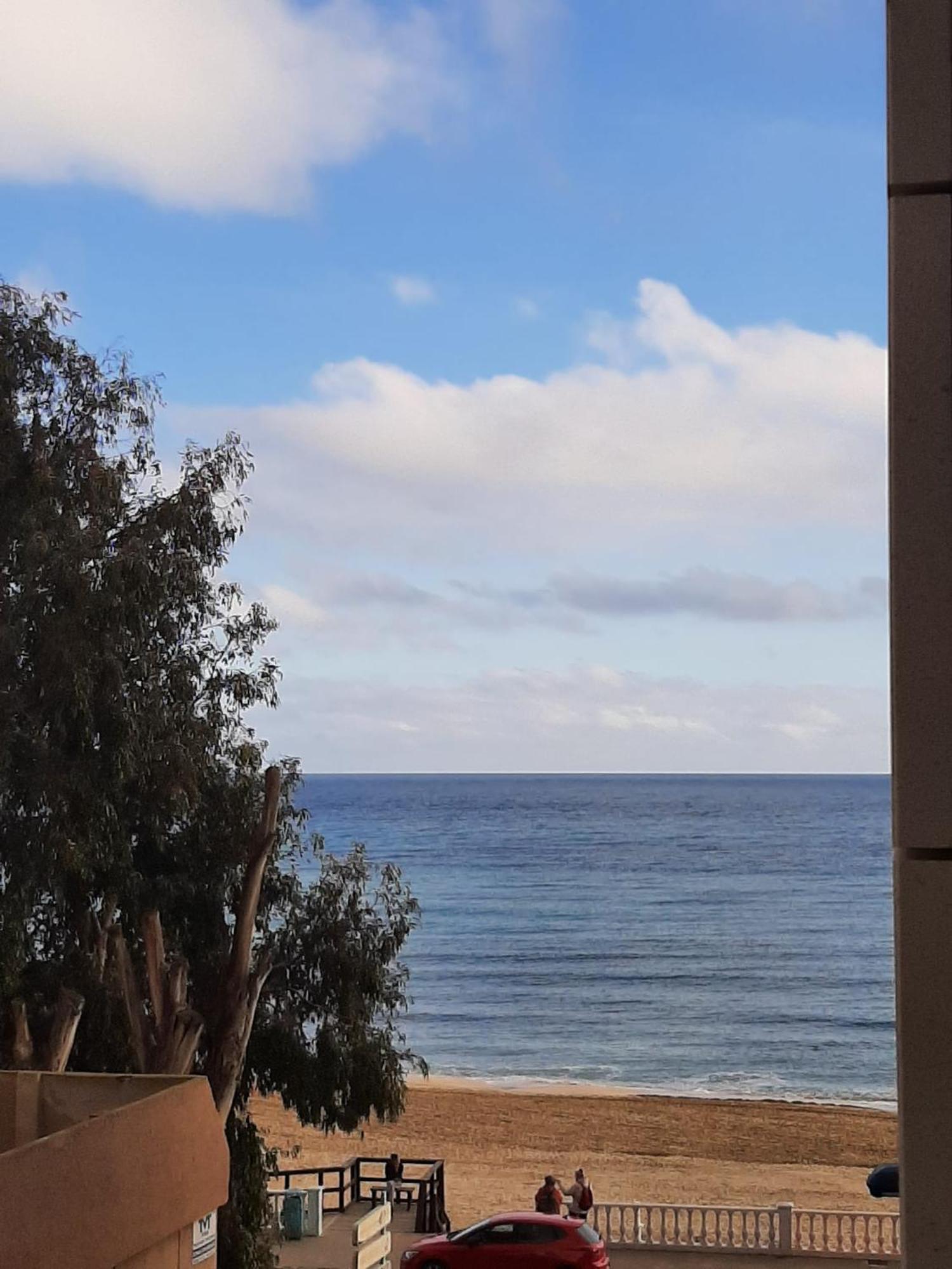 Nice Apartment With Terrace On The Los Locos Beach トレビエハ エクステリア 写真