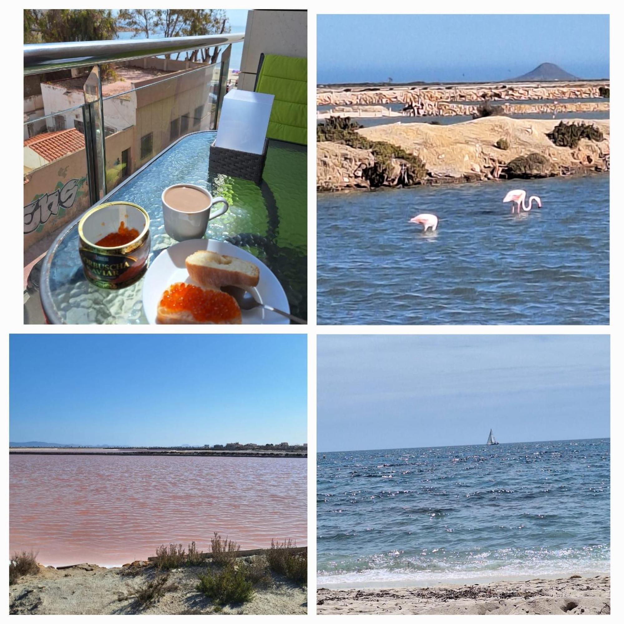 Nice Apartment With Terrace On The Los Locos Beach トレビエハ エクステリア 写真